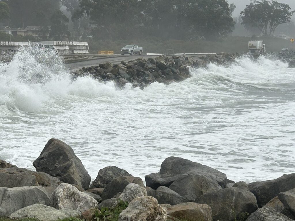 Parking lot of RV park Pillar Point, Half Moon Bay